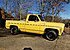 1979 Chevrolet C/K Truck 2WD Regular Cab 1500 for sale 101086818